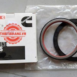 Bộ phớt và đệm 4965569 Cummins Seal And Spacer Kit