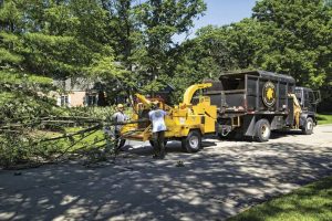 Máy băm cành cây cho Khu Công Nghiệp