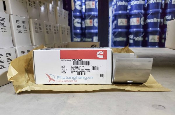 Bạc lót tay dên động cơ Cummins 205840 KTA19
