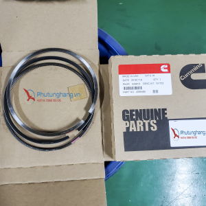Bạc xéc măng động cơ Cummins N14, N855