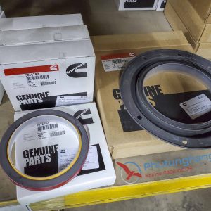 Phốt đầu Cummins KTA19 3016792