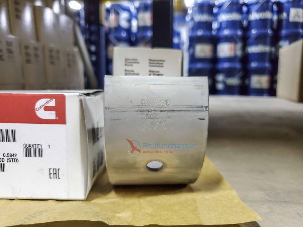 Bạc lót tay dên động cơ Cummins 205840 KTA19