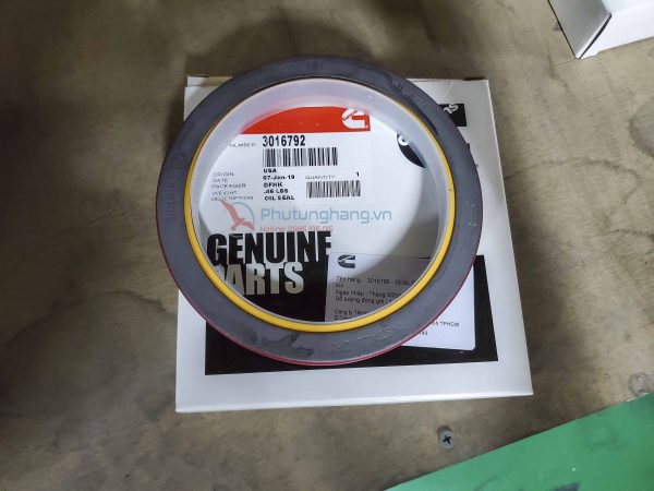 Phốt đầu Cummins KTA19 3016792