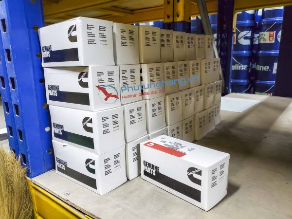 Bạc lót tay dên động cơ Cummins 205840 KTA19
