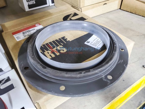 Phốt đầu Cummins KTA19 3016792