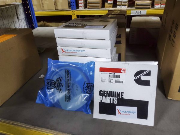 3006738 Phớt đuôi động cơ Cummins N14, NTA855