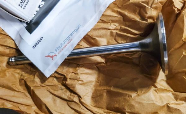 Xupup nạp Cummins 6BT5.9 - 3802355 Intake valve