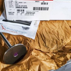 Xupup nạp Cummins 6BT5.9 - 3802355 Intake valve