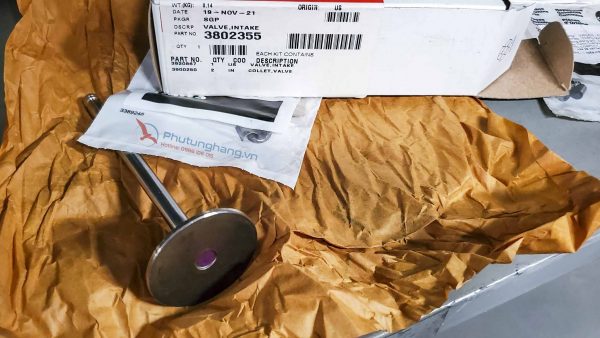 Xupup nạp Cummins 6BT5.9 - 3802355 Intake valve