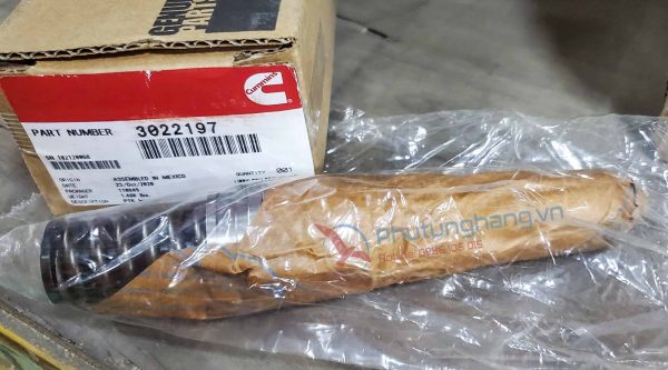 Kim phun động cơ Cummins KTA19/QSK19 - 3022197 Injector