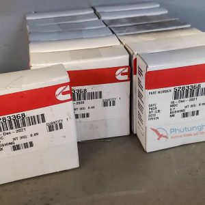 Bạc cam động cơ Cummins ISL/QSL8.9 - 5283368 BUSHING CUMMINS