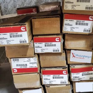Kim phun động cơ Cummins KTA19/QSK19 - 3022197 Injector