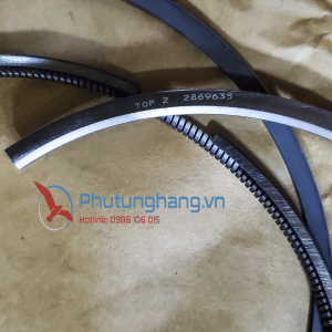 Bạc xéc măng Cummins ISX/QSX15 - 5405717 Set piston ring