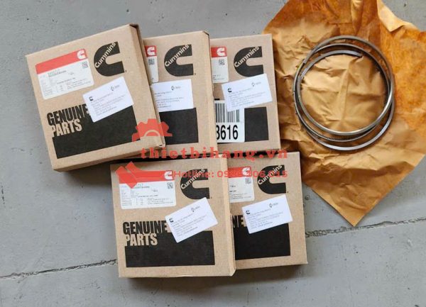Bạc xéc măng động cơ Cummins ISX15 5405717 Piston Ring Kit