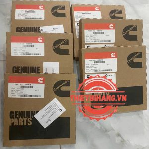 Bạc xéc măng Cummins 4955976 PISTON RING KIT