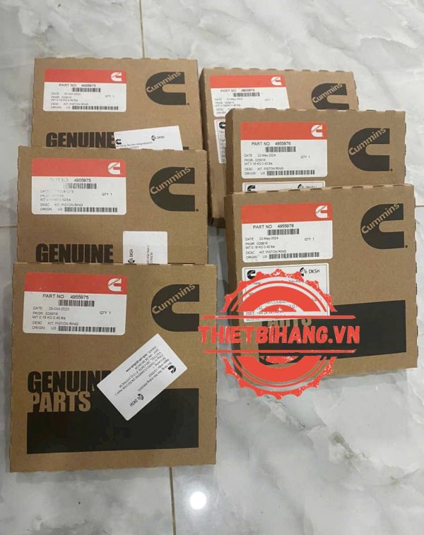 Bạc xéc măng Cummins 4955976 PISTON RING KIT