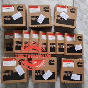 Bạc xéc măng Cummins 4955976 PISTON RING KIT