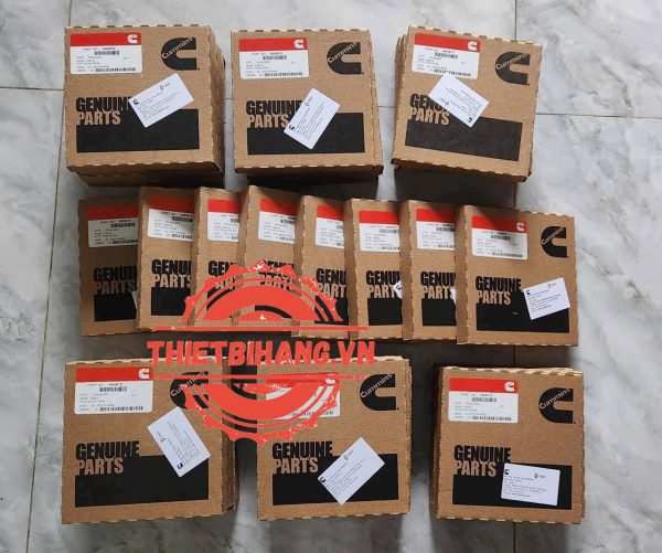 Bạc xéc măng Cummins 4955976 PISTON RING KIT