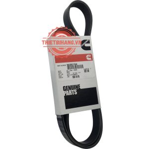 5690194 Dây Curoa động cơ Cummins V Ribbed Belt